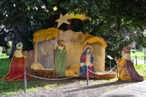 2024.11.24 Il presepe della Cojta_